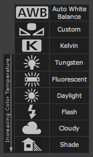 White Balance Options